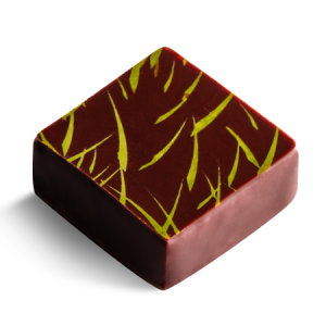 Praline - APOLLON (LOORBEER)