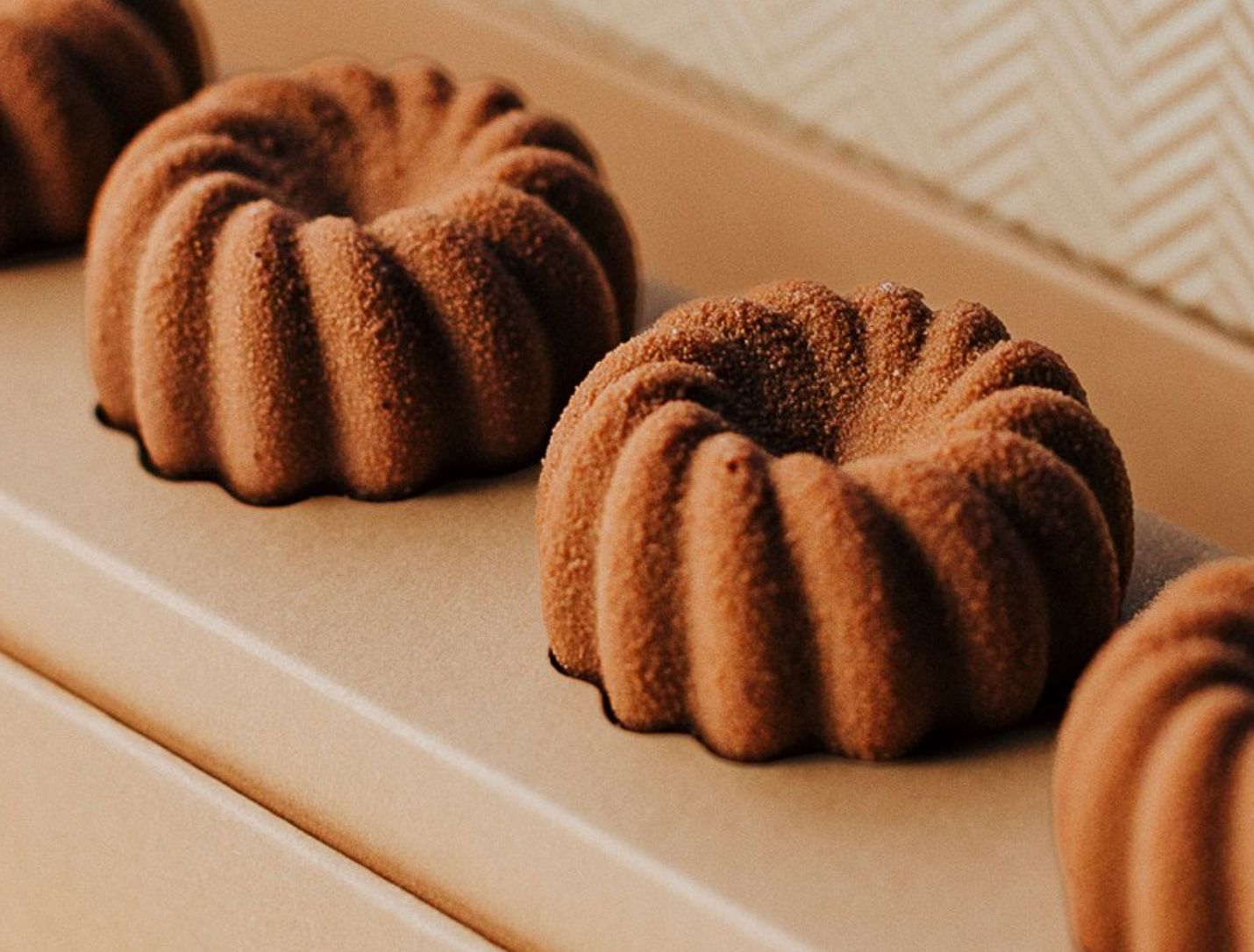 WhatsApp Image 2026-01-29 at 14.41.17